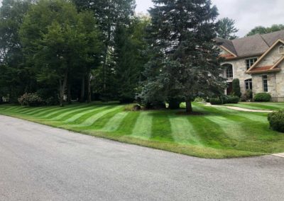 striped lawn 2