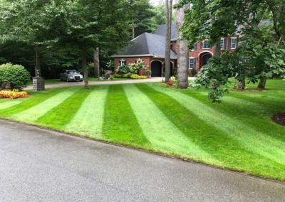 striped lawn 3